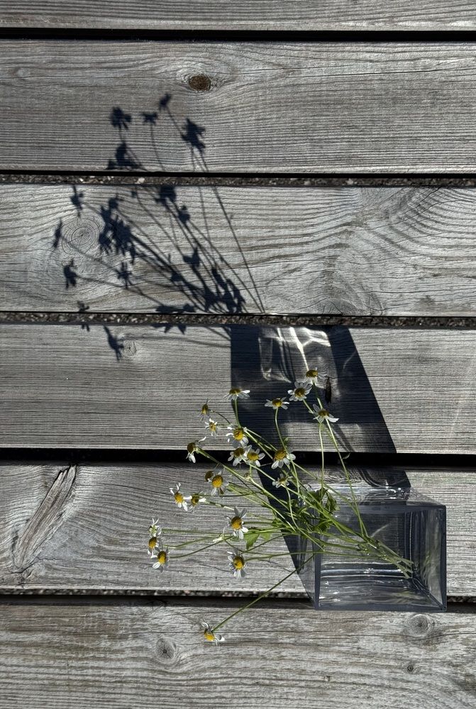 Photograph by Ольга Кудіна