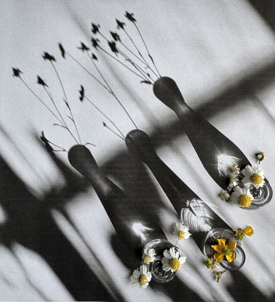 Photograph by Ольга Кудіна