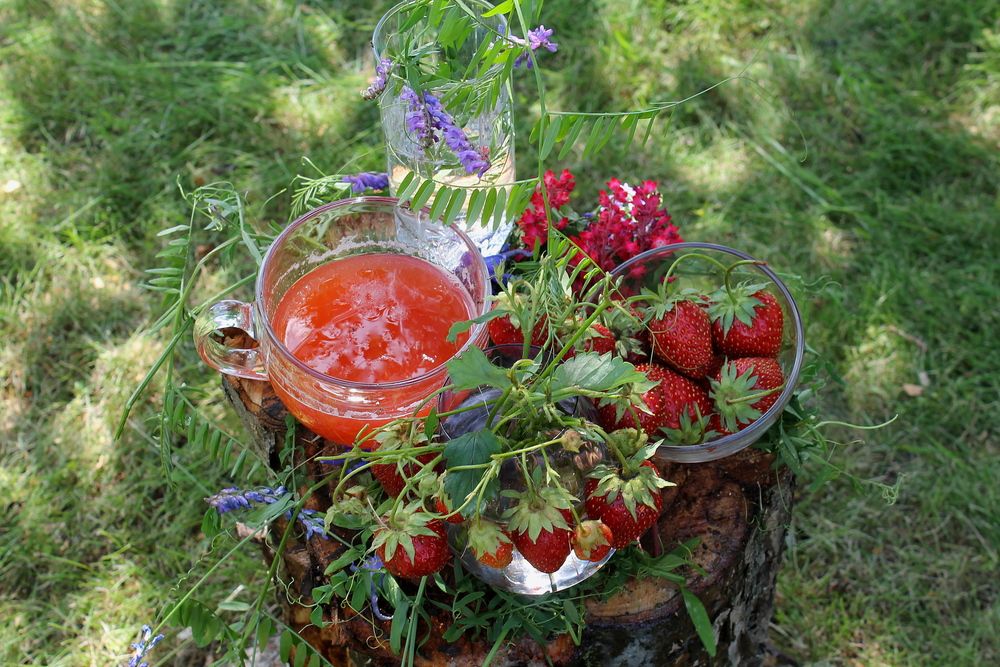 Фотография автора Тамара Кремлева