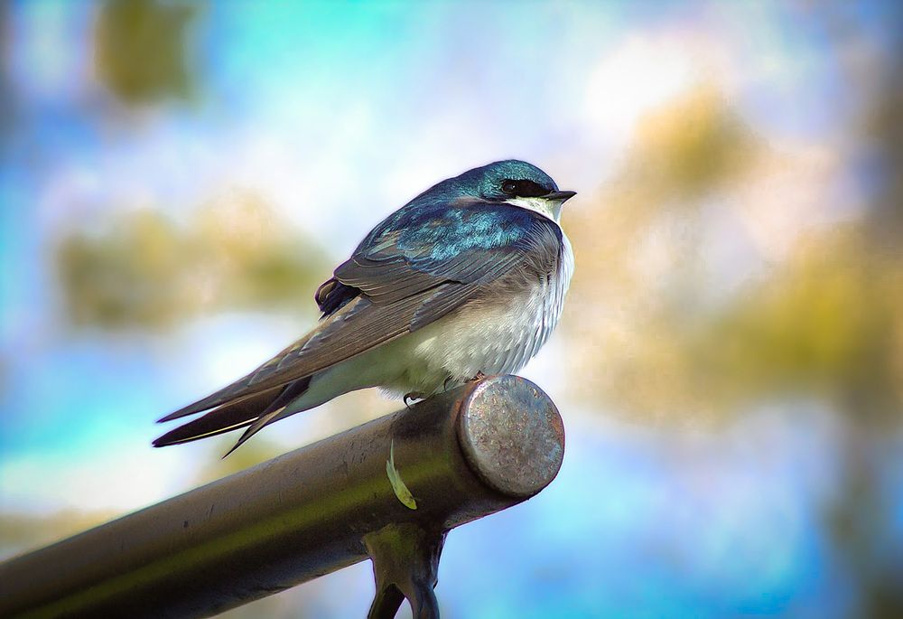 Photograph by Meilleurs Moments