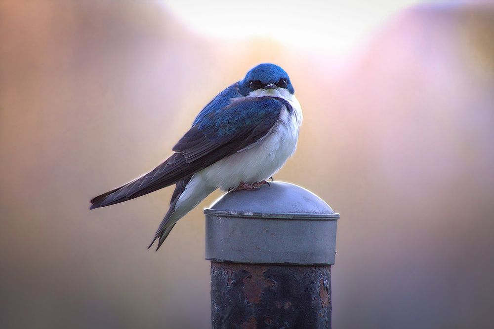 Photograph by Meilleurs Moments