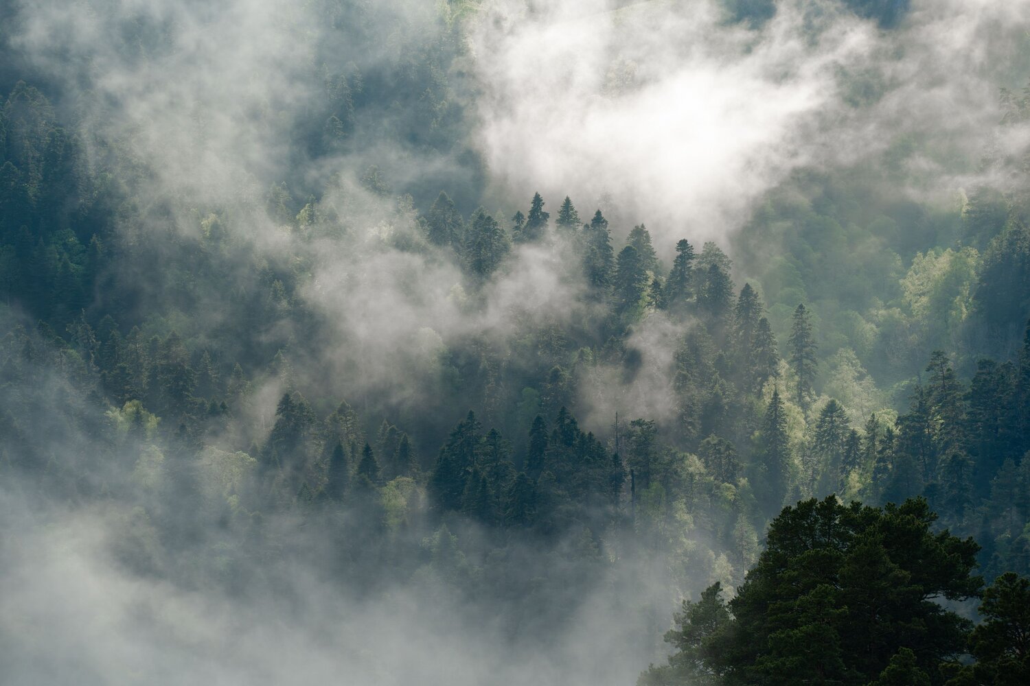 Photo #13732214