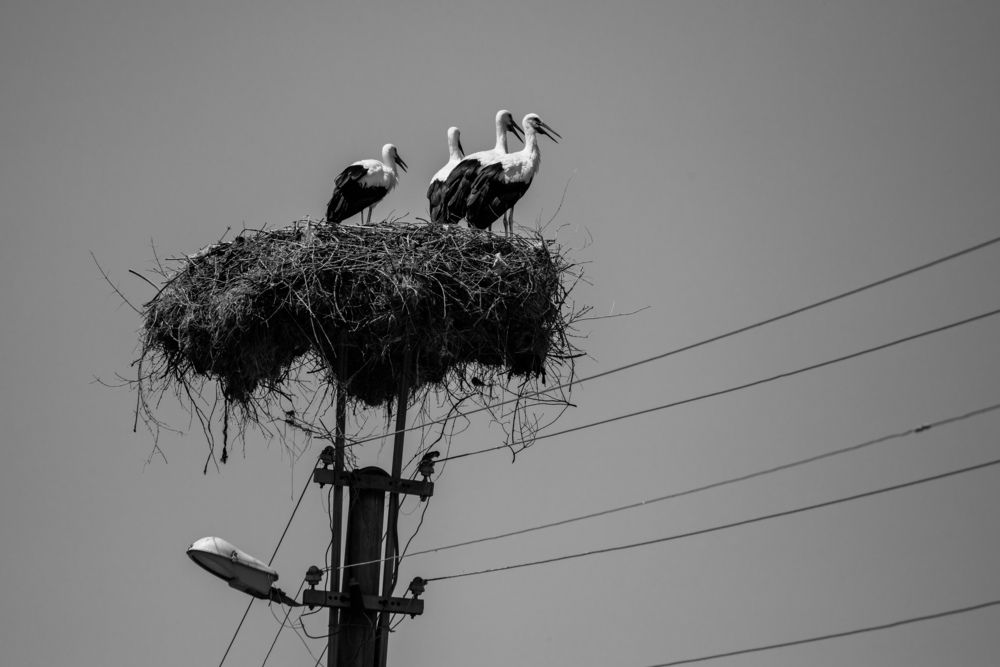Photograph by ibrahim UTANIR