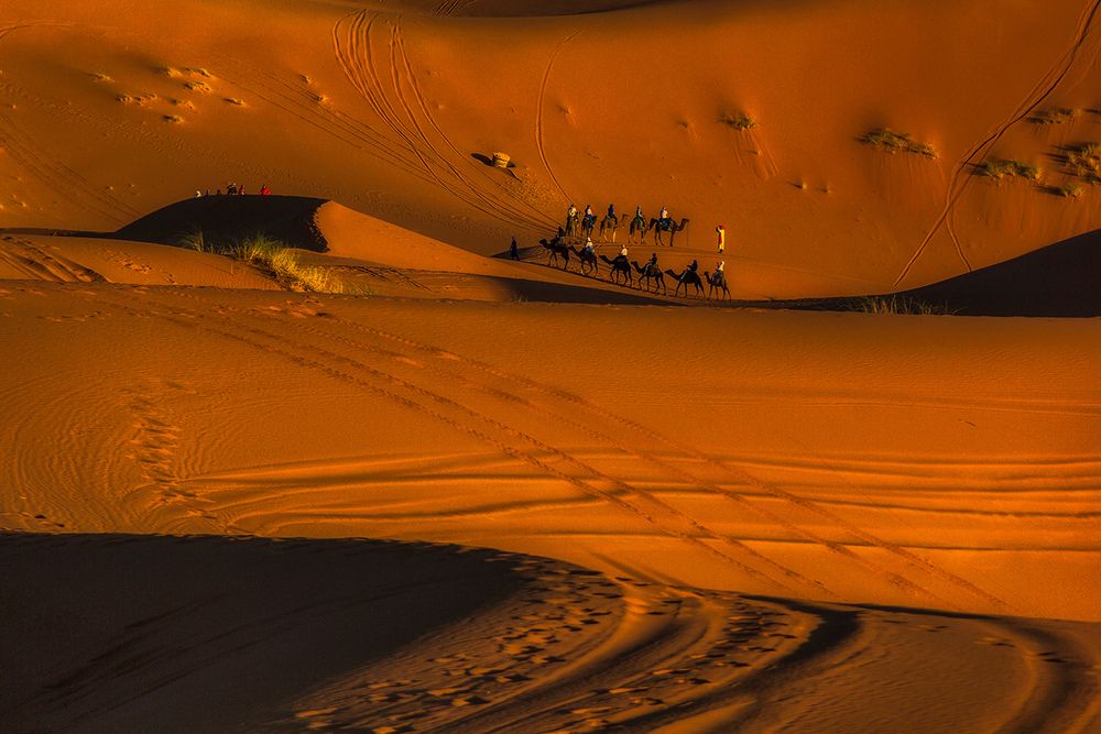 Photograph by Daniel Peterburg