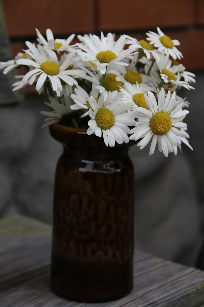 Photograph by Анастасия Псарёва