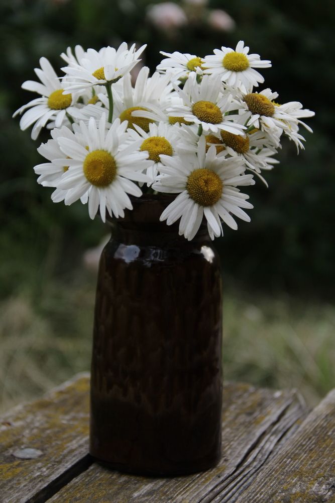 Photograph by Анастасия Псарёва