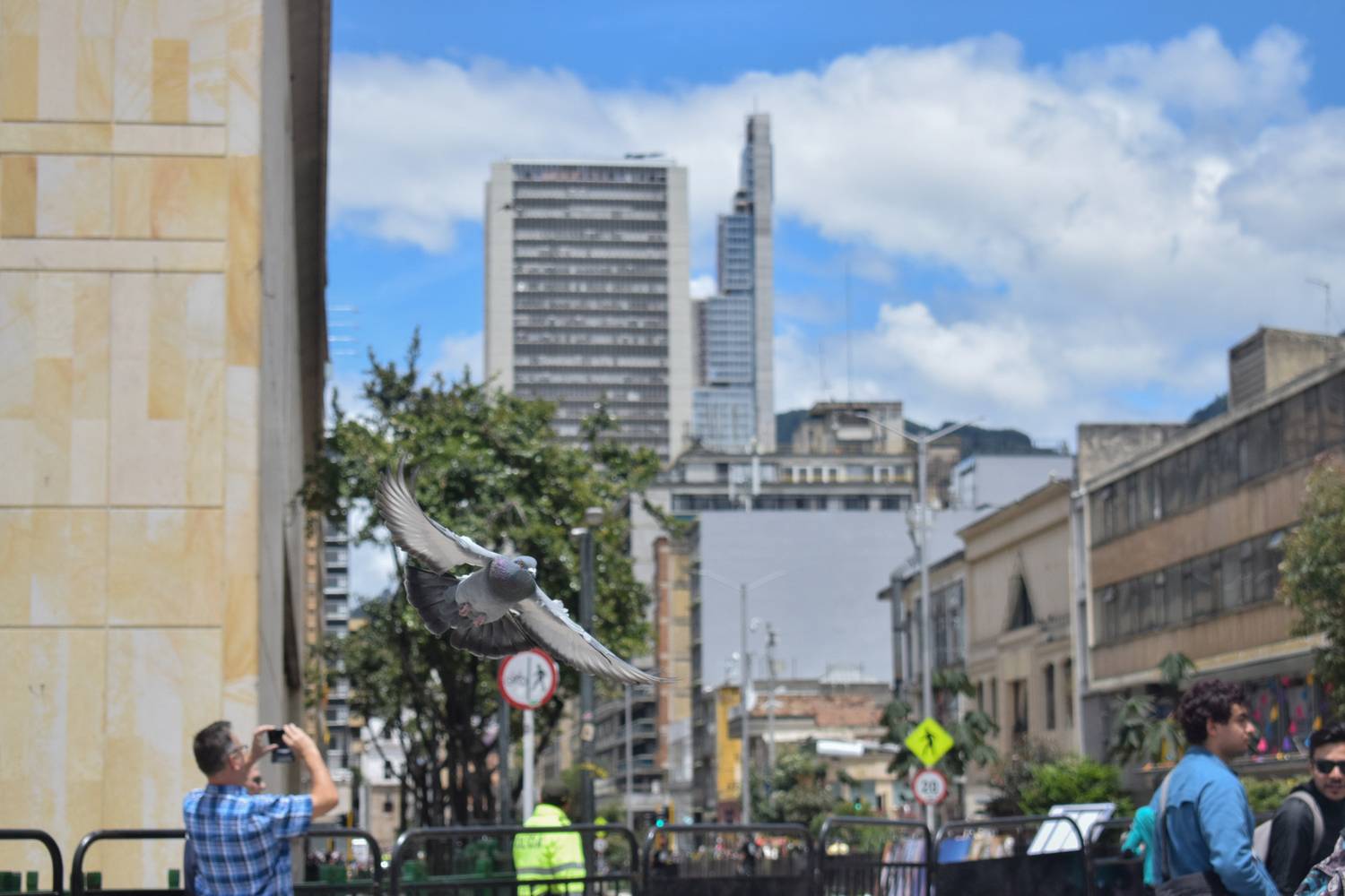 Photo #13732266