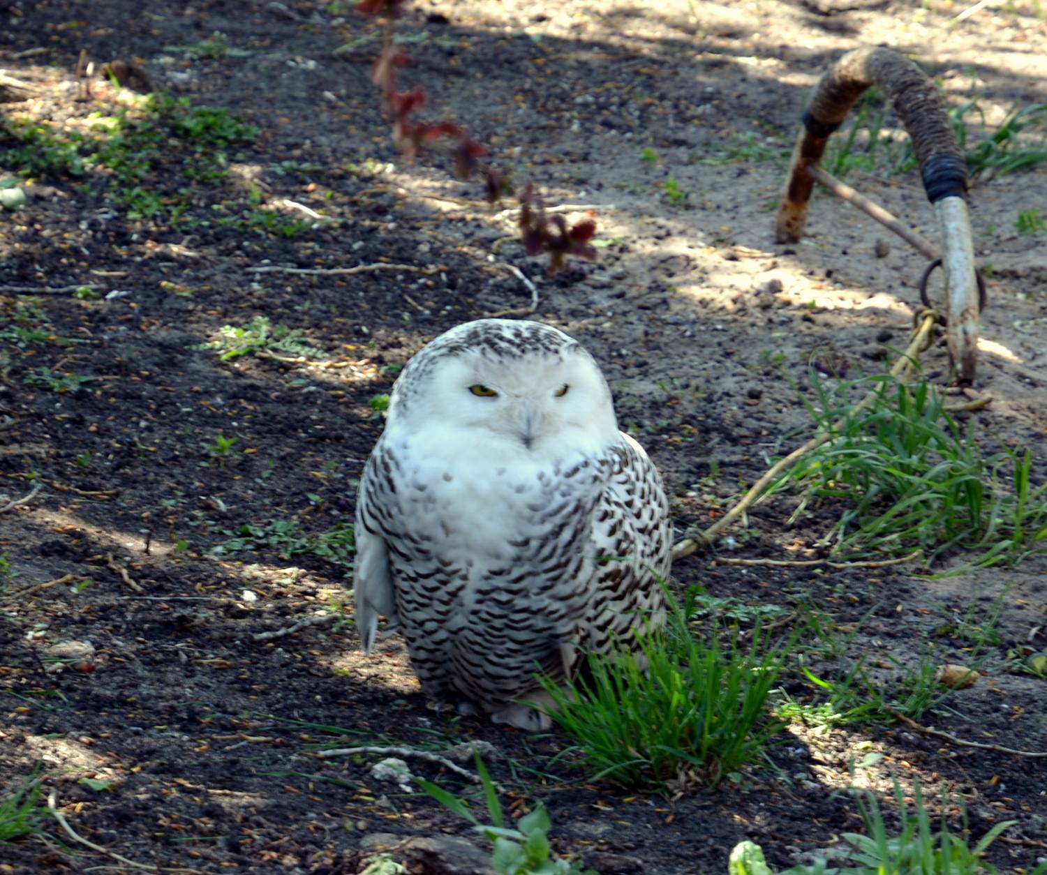 Photo #13732278