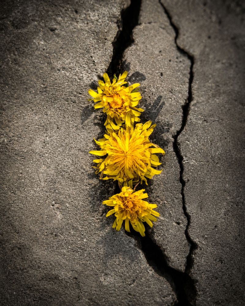 Photograph by Hurain Rauf