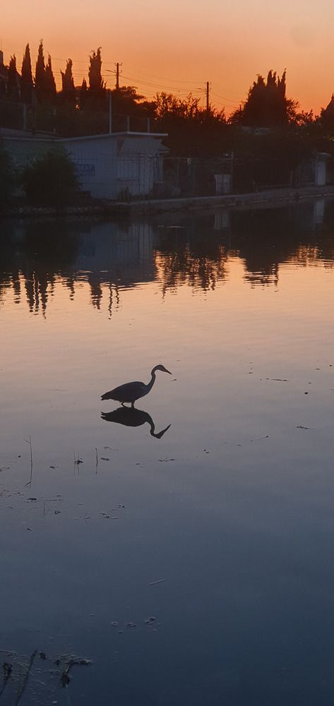Photograph by Elena Androsova