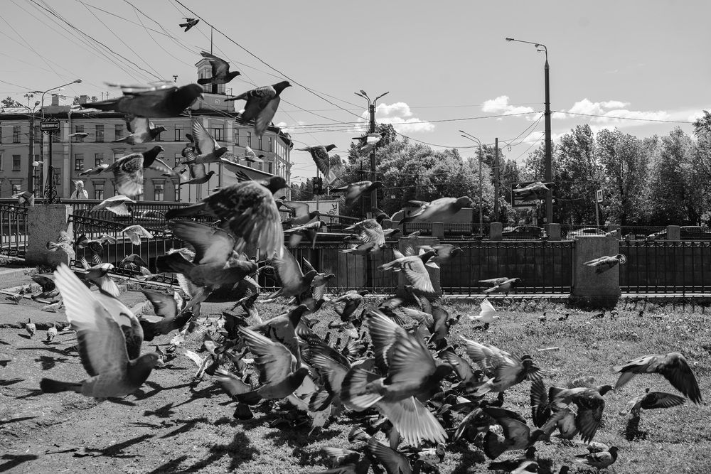 Photograph by Ирина Троицкая