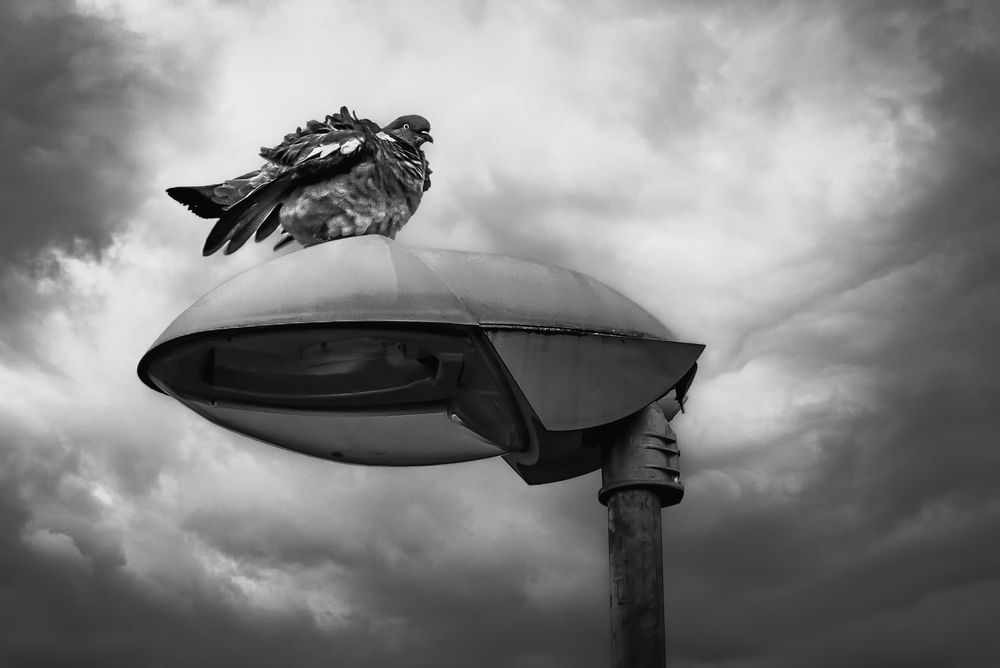 Photograph by Kveta Novotna