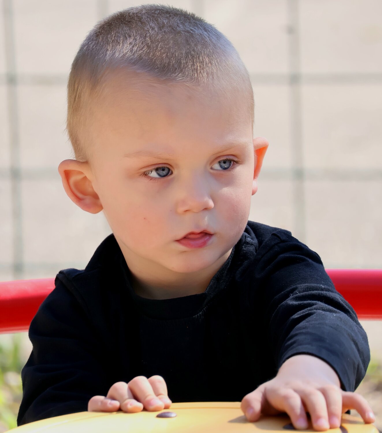 Photo #13732571