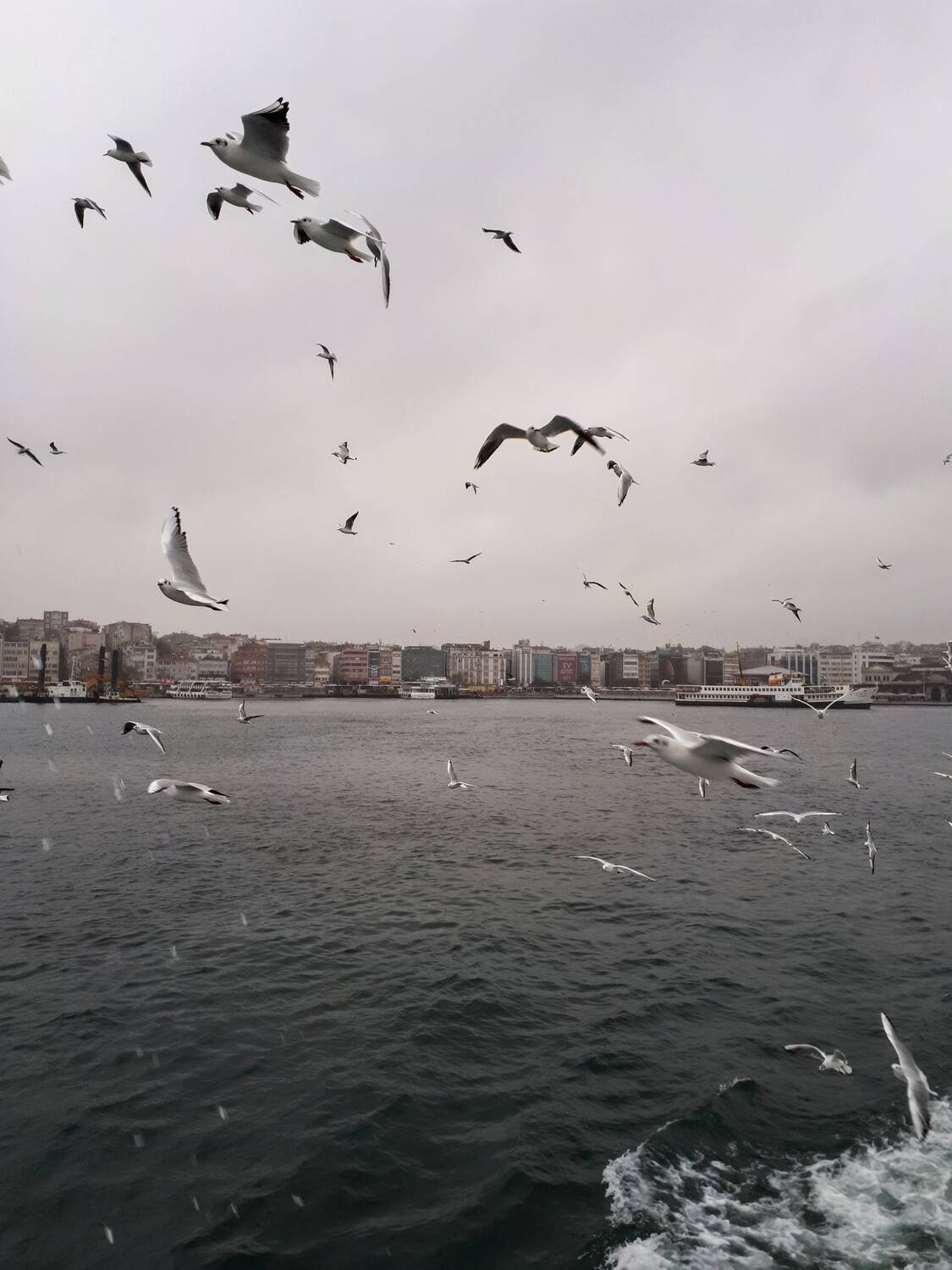 Photo #13732603