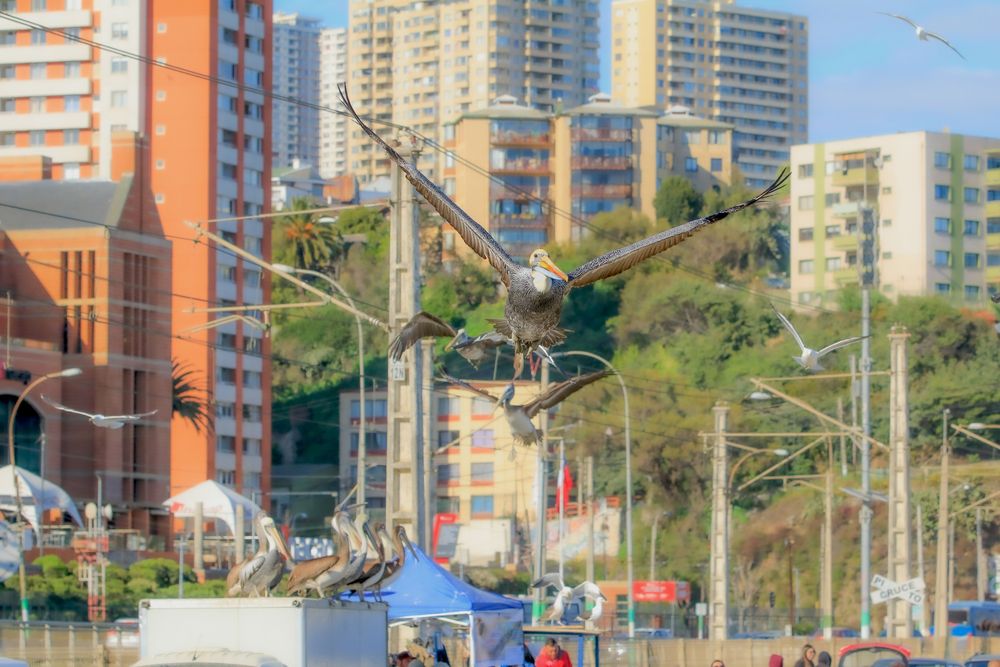 Photograph by Claudio Gutiérrez