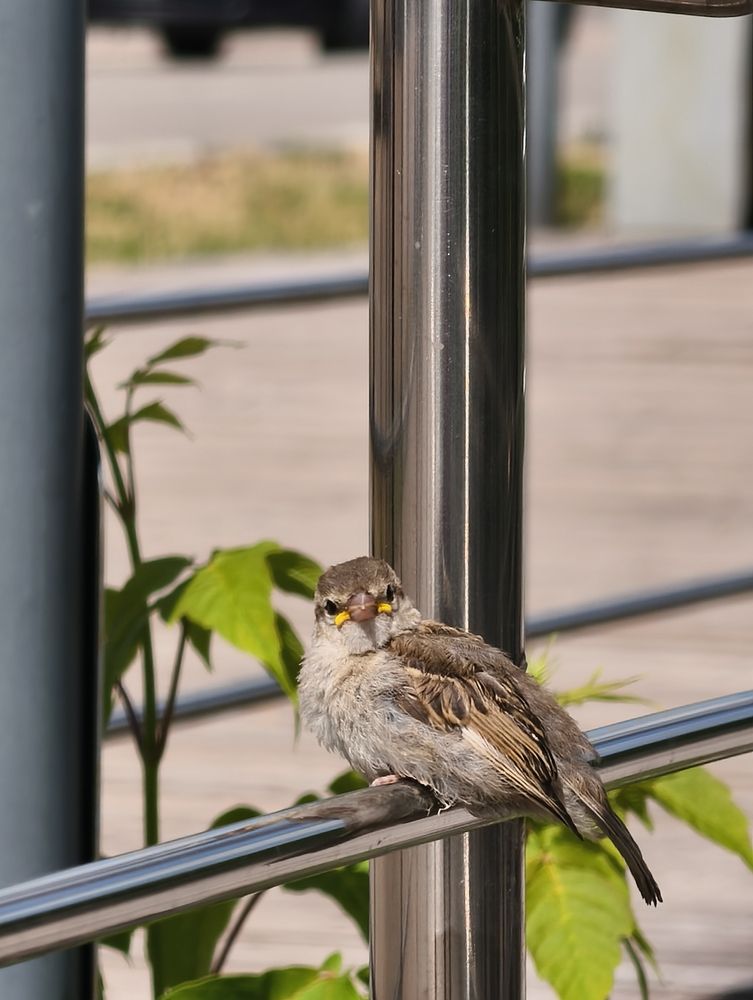 Photograph by Галина Бессуднова