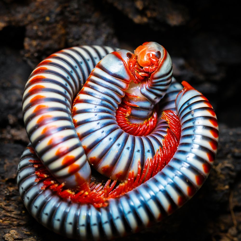 Photograph by Ly Phu Tai