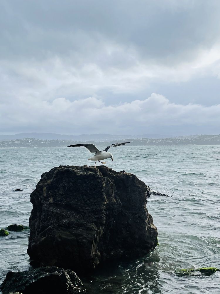Photograph by Елена