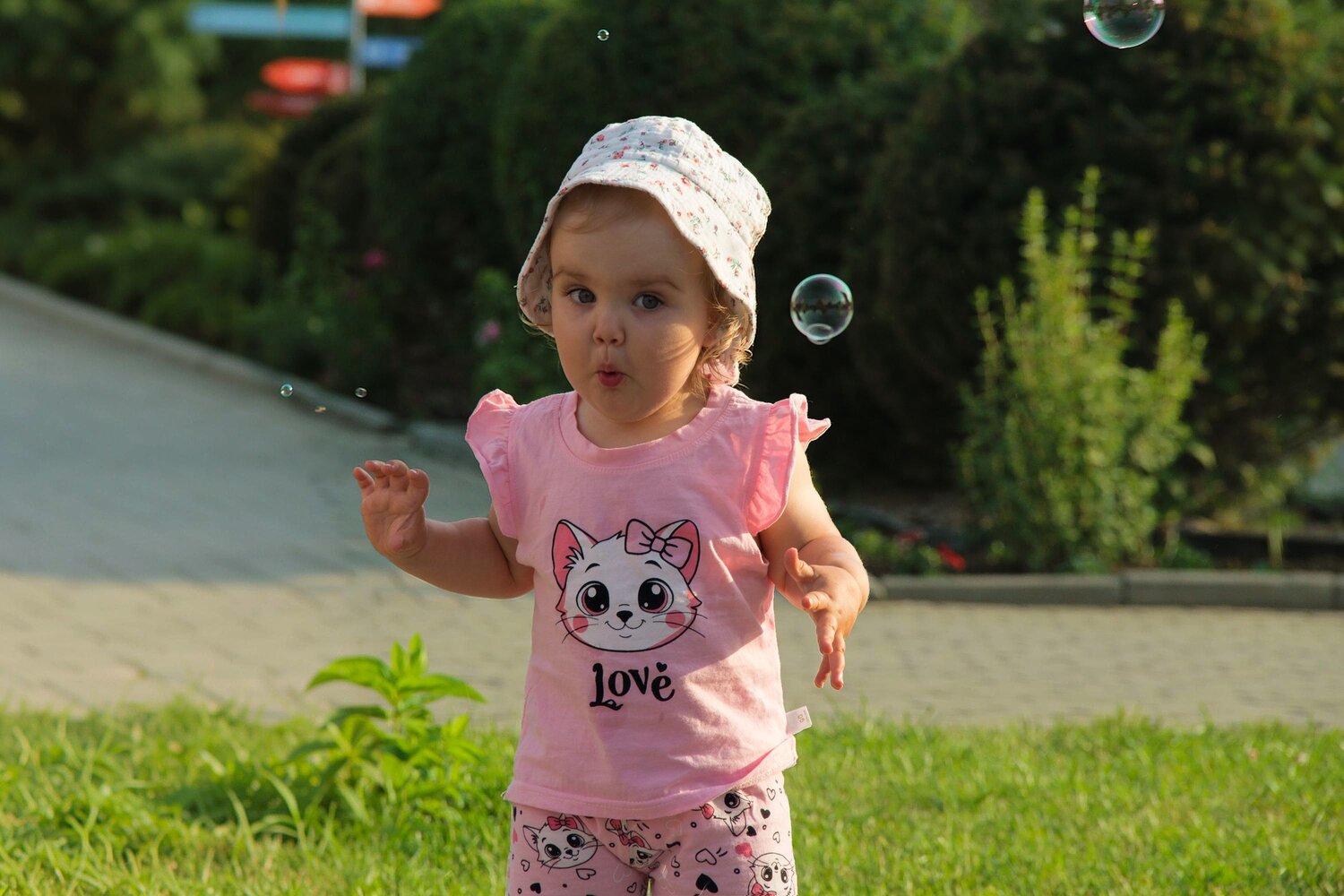 Photo #13732864