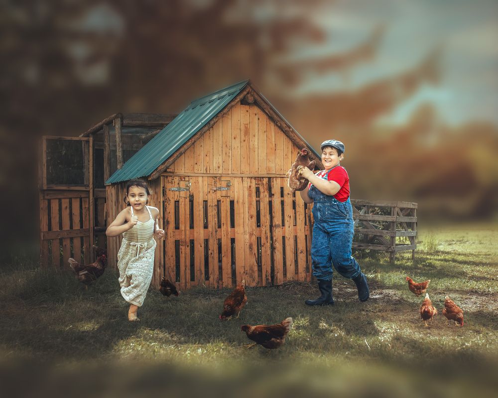 Photograph by Meilleurs Moments
