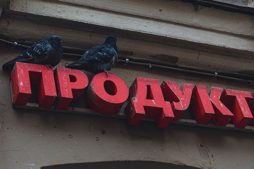 Фотография автора G Shish