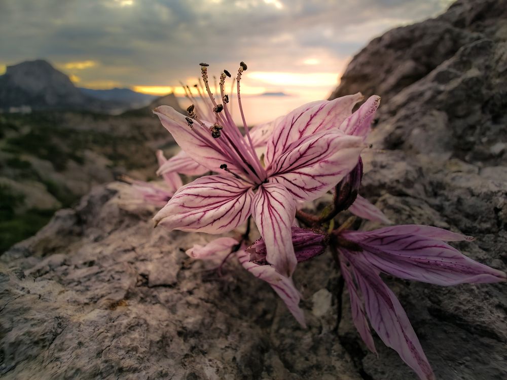 Photograph by Александр Разумов