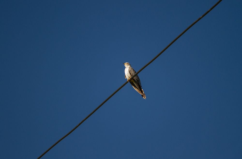 Photograph by ЕЛЕНА Рохо-Фернандес