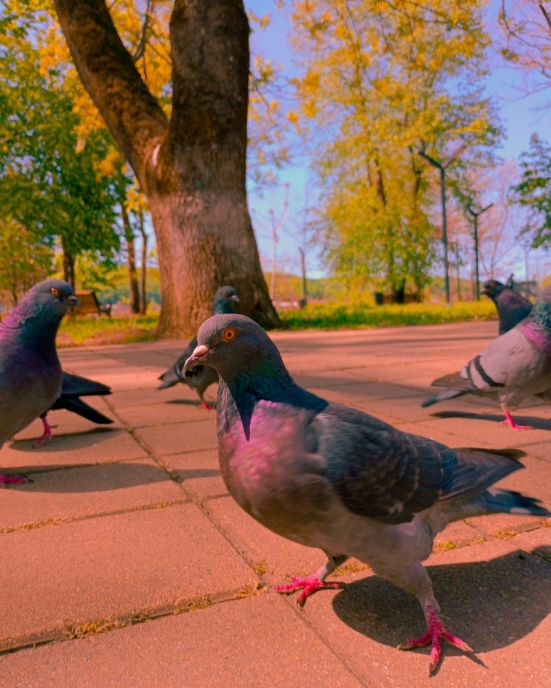 Photograph by Савина Анастасия Николаевна