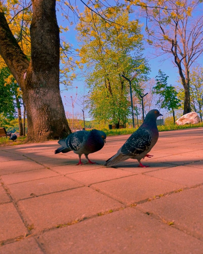 Photograph by Савина Анастасия Николаевна