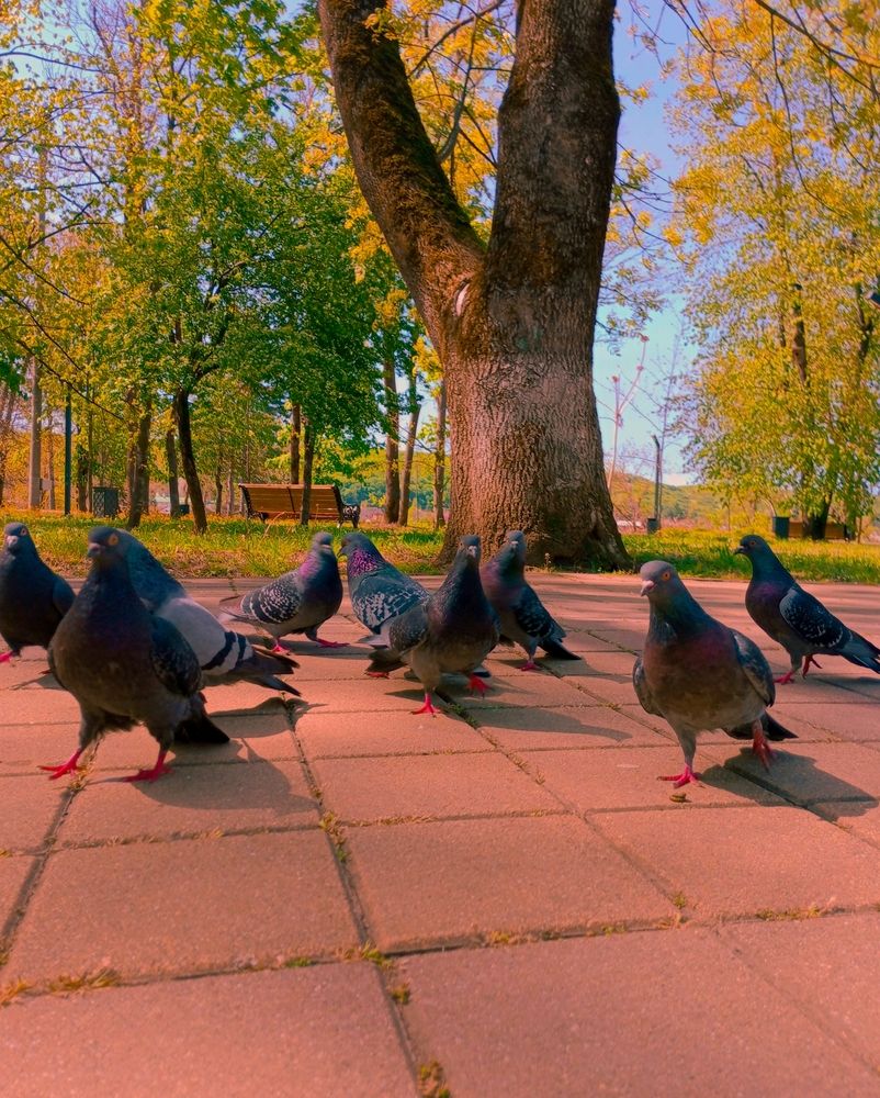 Photograph by Савина Анастасия Николаевна