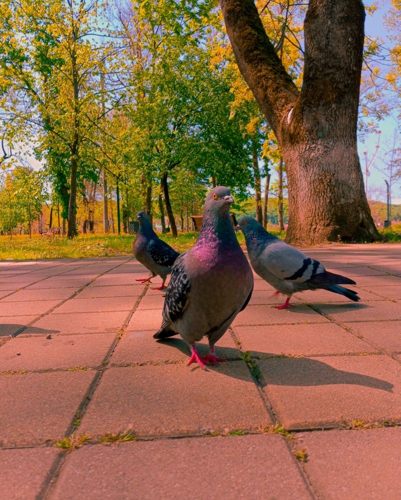 Photograph by Савина Анастасия Николаевна