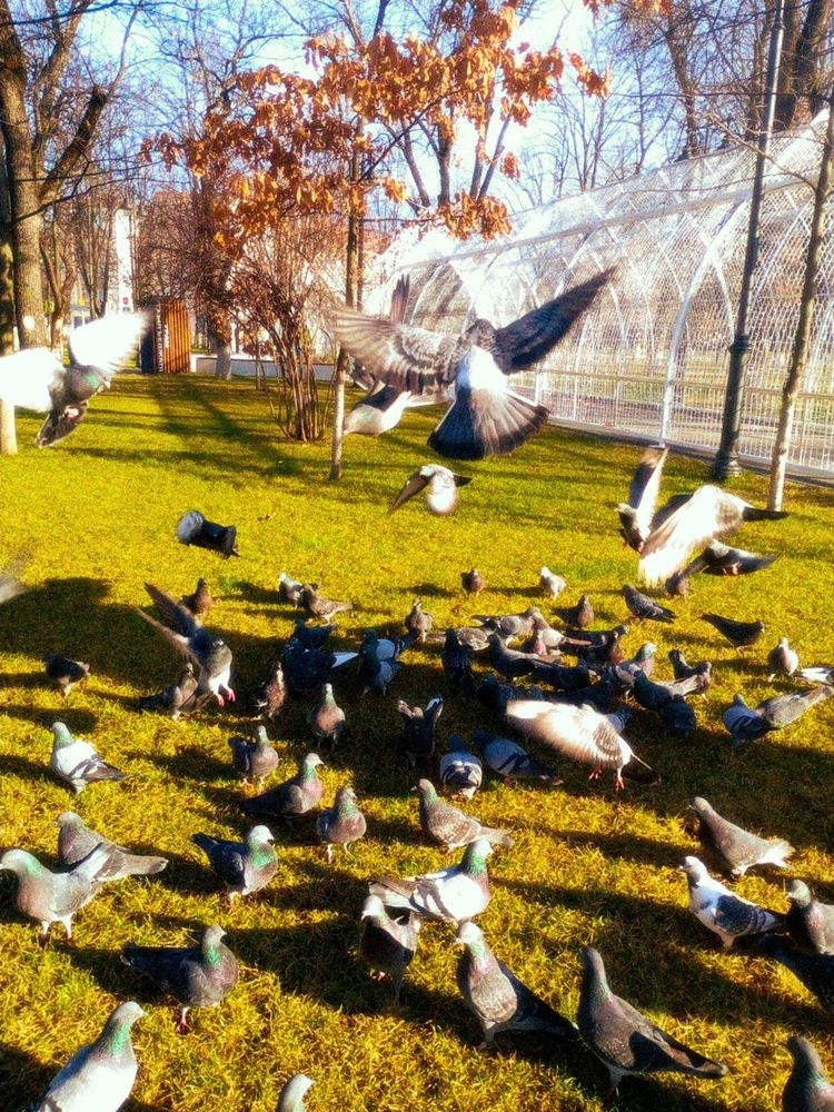 Photograph by Савина Анастасия Николаевна