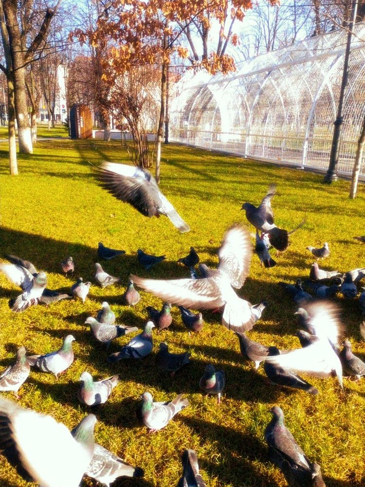 Photograph by Савина Анастасия Николаевна