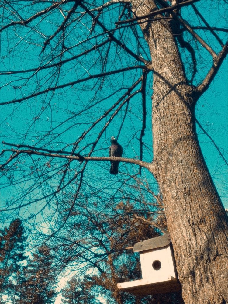 Photograph by Савина Анастасия Николаевна