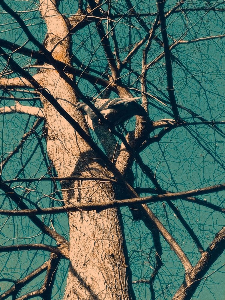 Photograph by Савина Анастасия Николаевна