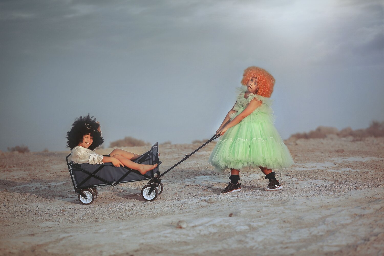 Photo #13733265