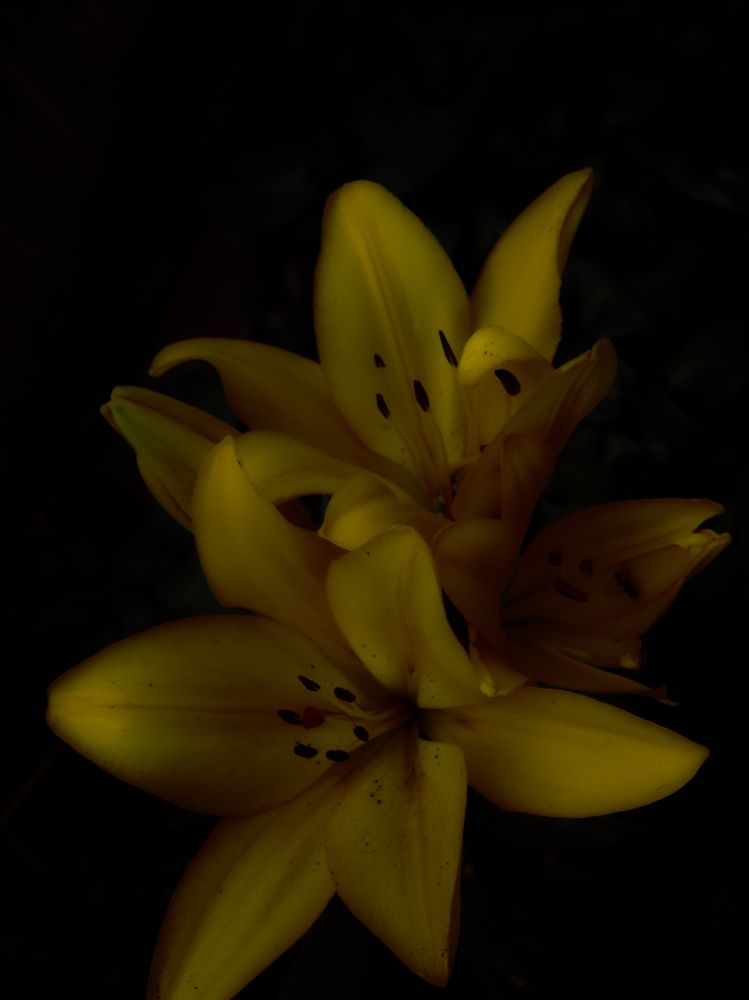 Photograph by Сергей Пыдык