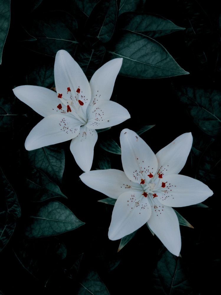 Photograph by Сергей Пыдык