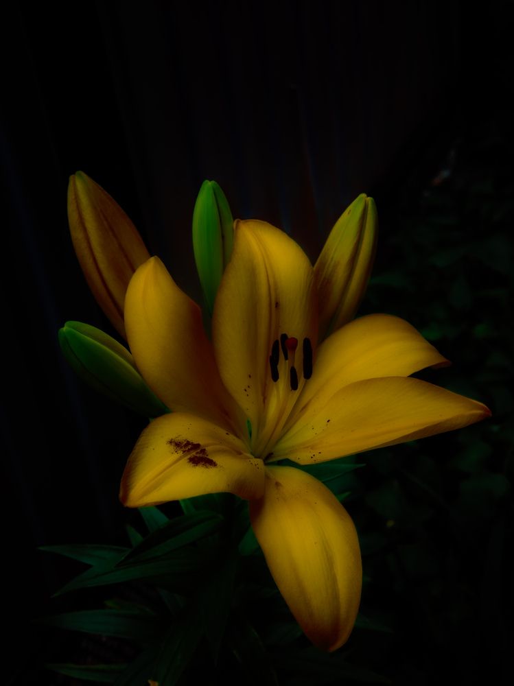 Photograph by Сергей Пыдык