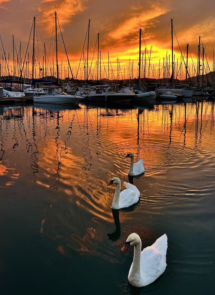 Photograph by Eleni Christogianni