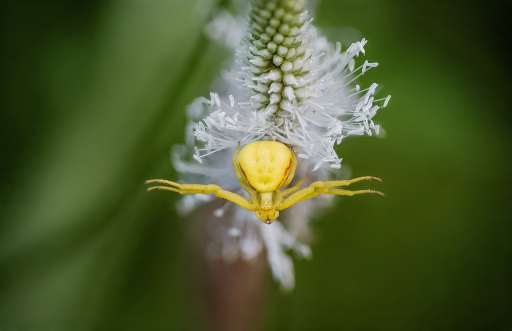 Photograph by Анна Бобкова