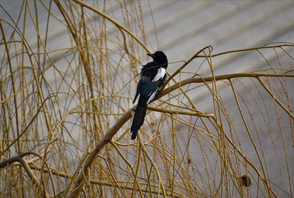 Photograph by Alex Mendla