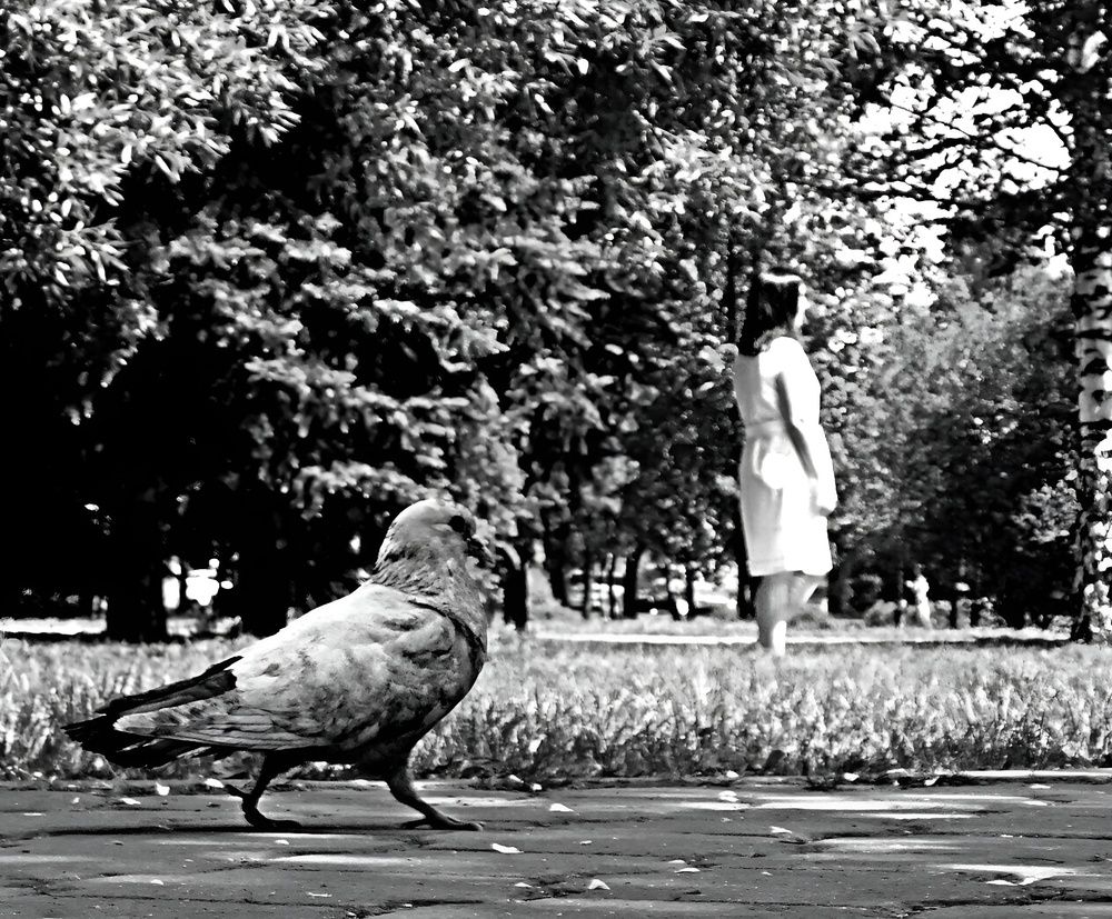 Photograph by Александр Прядко