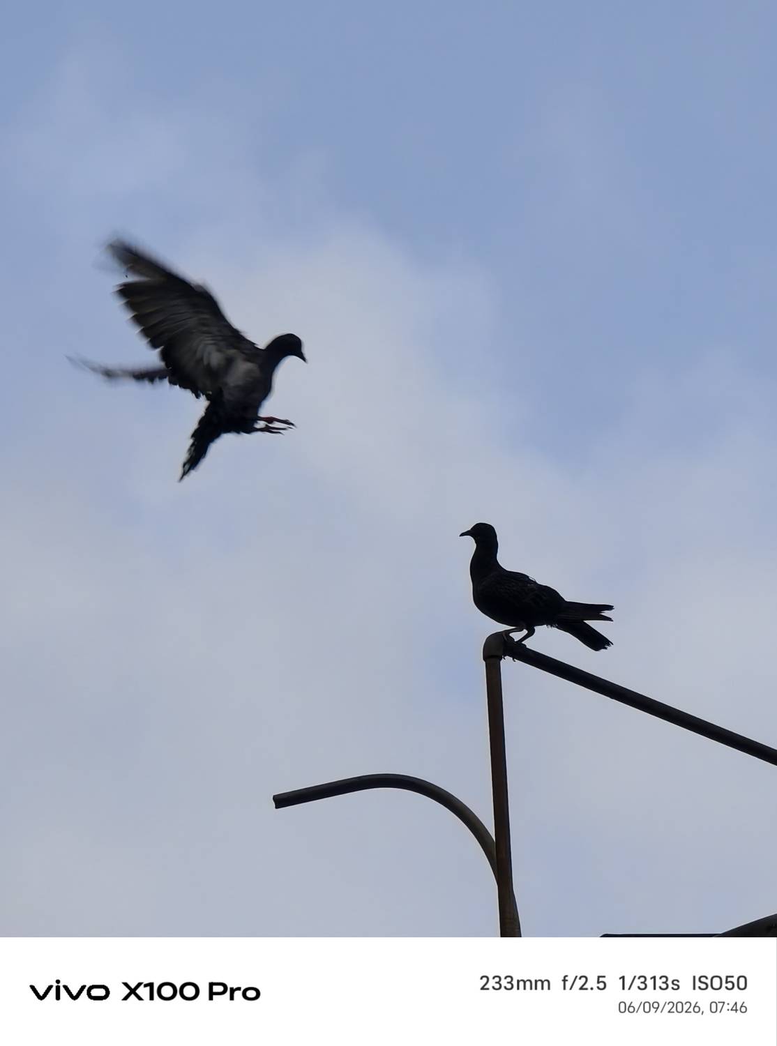 Mid-Air Dialogue