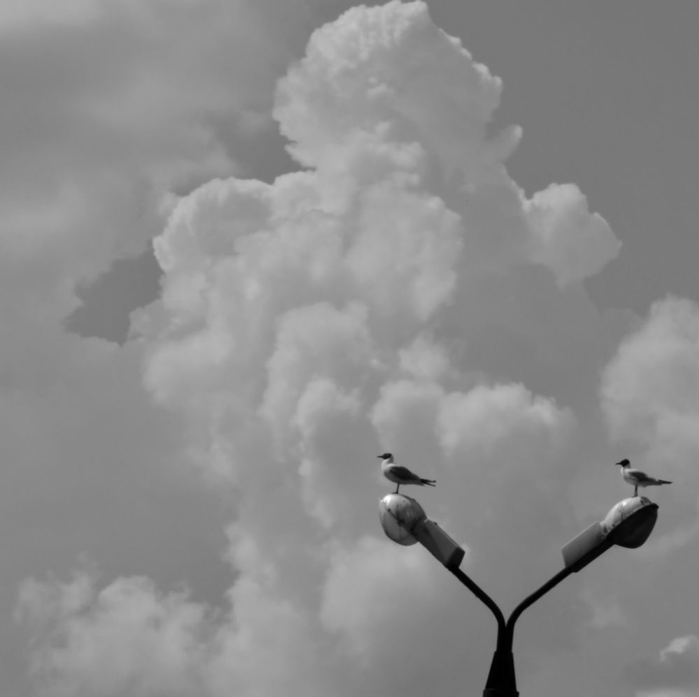 Photograph by Павел Васильев