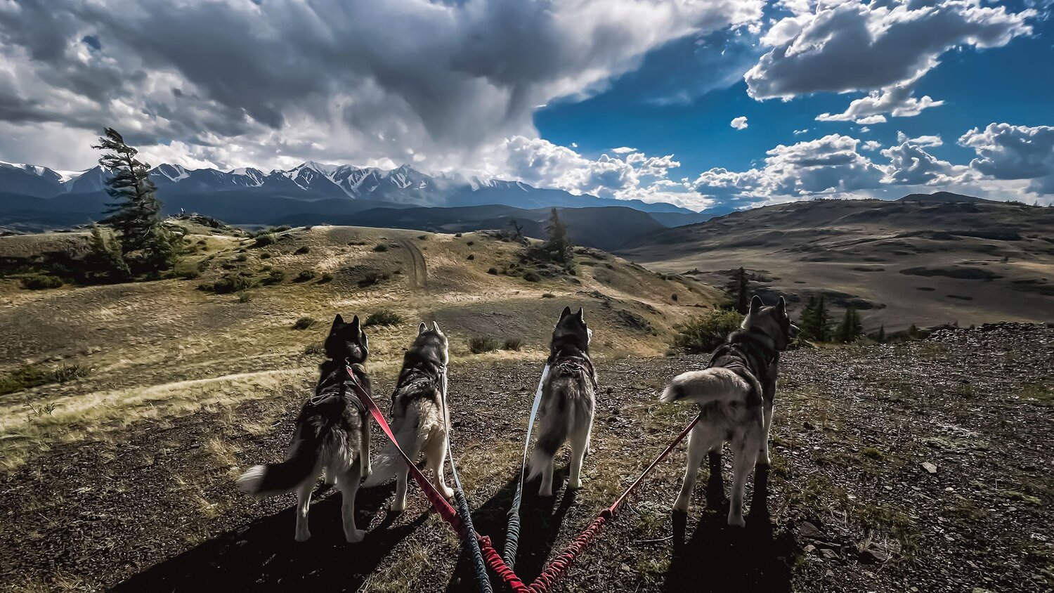 Photo #13733495