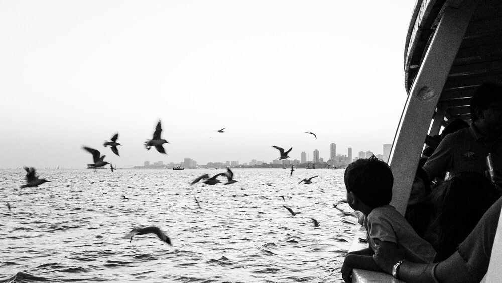 Photo #13733513