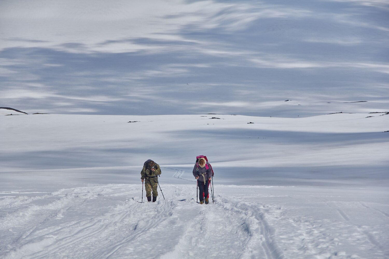 Photo #13733537