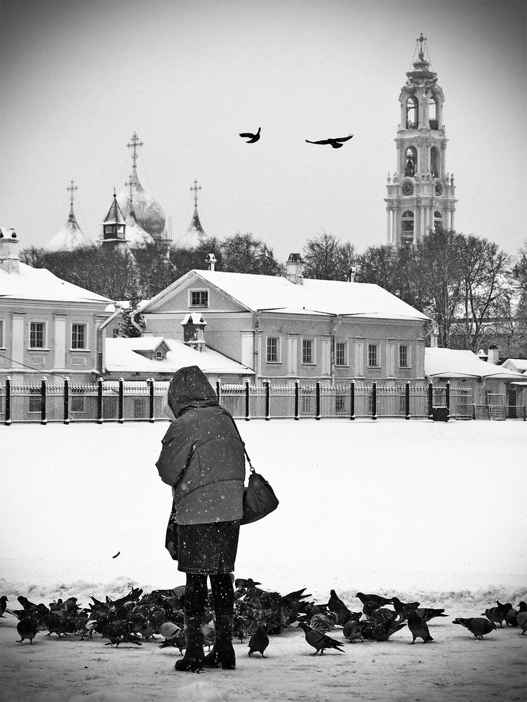 Photo #13733610
