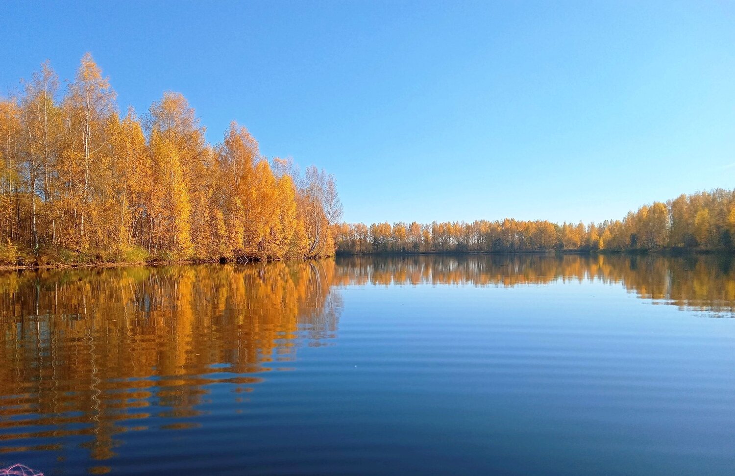 Photo #13733679